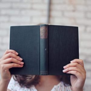 Query & Synopsis